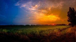 sunlight_sky_landscape-1445337.jpg