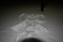 DSC04767.jpg