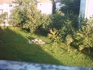 IMG_8378.JPG