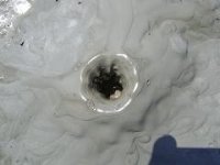 DSC01312.jpg