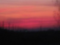 Picture 009.jpg