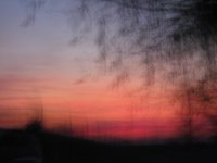Picture 011.jpg