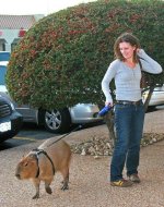 strange-pet-walking-640-07[1].jpg