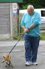 strange-pet-walking-640-09[1].jpg