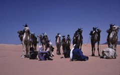 tuaregi[1].jpg