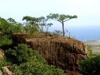 socotra-yemen-02[1].jpg