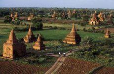 edgi-bagan-025-large-copy[1].jpg