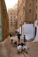 shibam-2[1].jpg