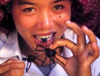 tarantule-cambogia.jpg