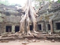 Angkor-Wat.jpg