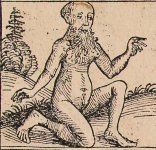 androgyn_II.jpg