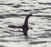11loch-ness-surgeon-photo.jpg