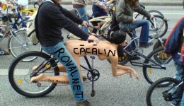pinupbike.jpg