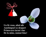 martisor.jpg