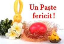 paste-fericit.jpg