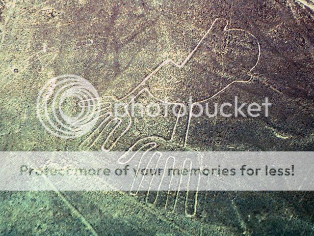 nazca_2.jpg