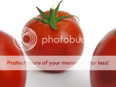 tomatoes480.jpg