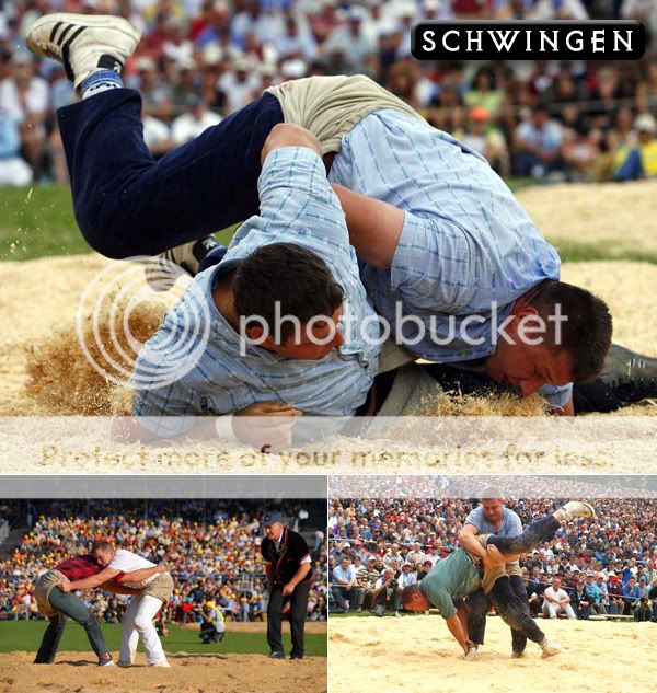01-schwingen.jpg