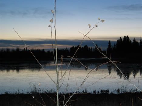 muzeul-ecologic-alberta-canada.jpg