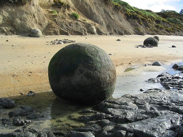 moeraki8.jpg