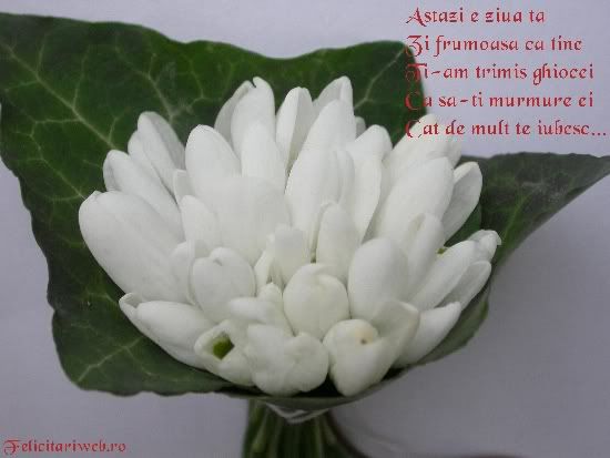 Ghiocei_pentru_tine.jpg