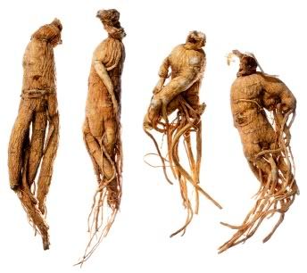 ginseng-2.jpg