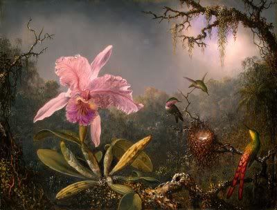 MartinJohnsonHeade-1.jpg