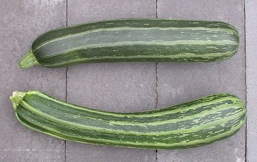 zucchini.jpg