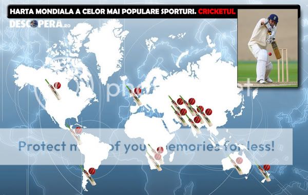 02-cricket.jpg