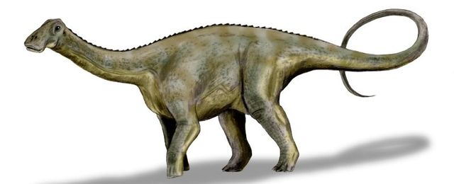 nigersaurus_640.jpeg