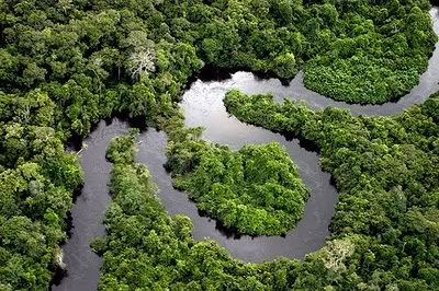 amazon-river.jpg